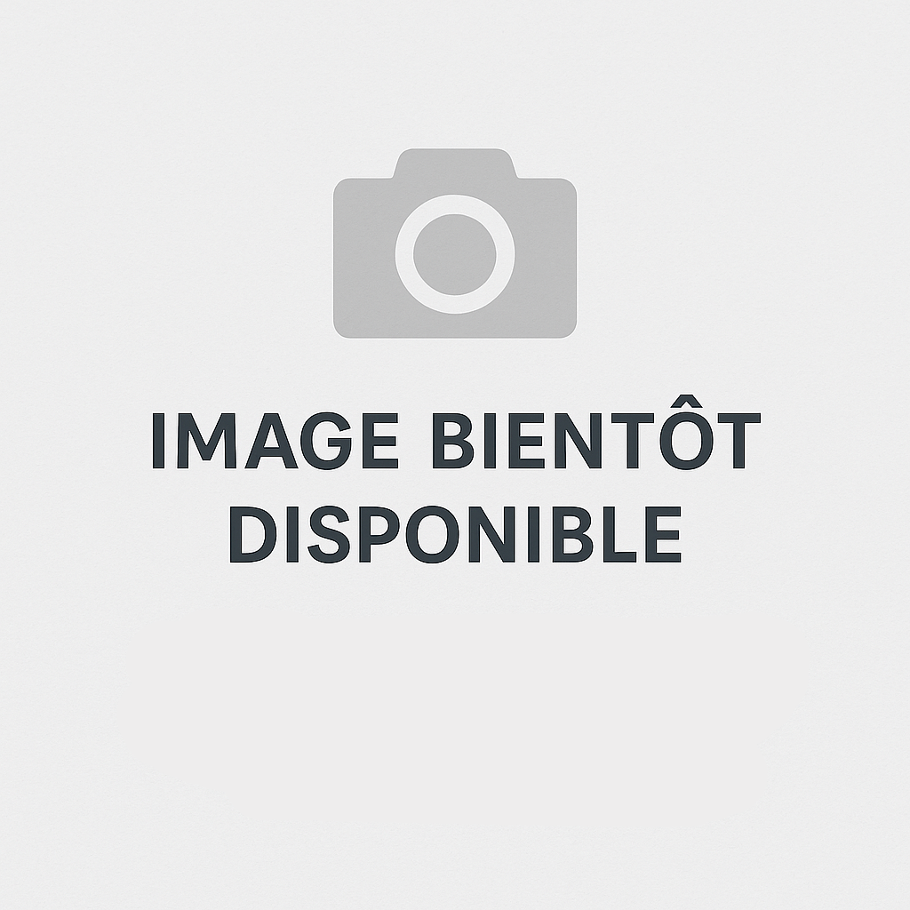 Pas d'image trouvée